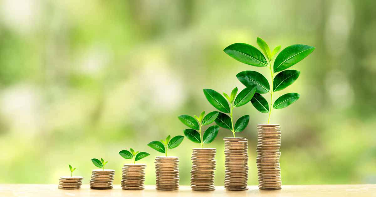 concept-investment-growth-like-growing-tree-1169167168-1200x628.jpg